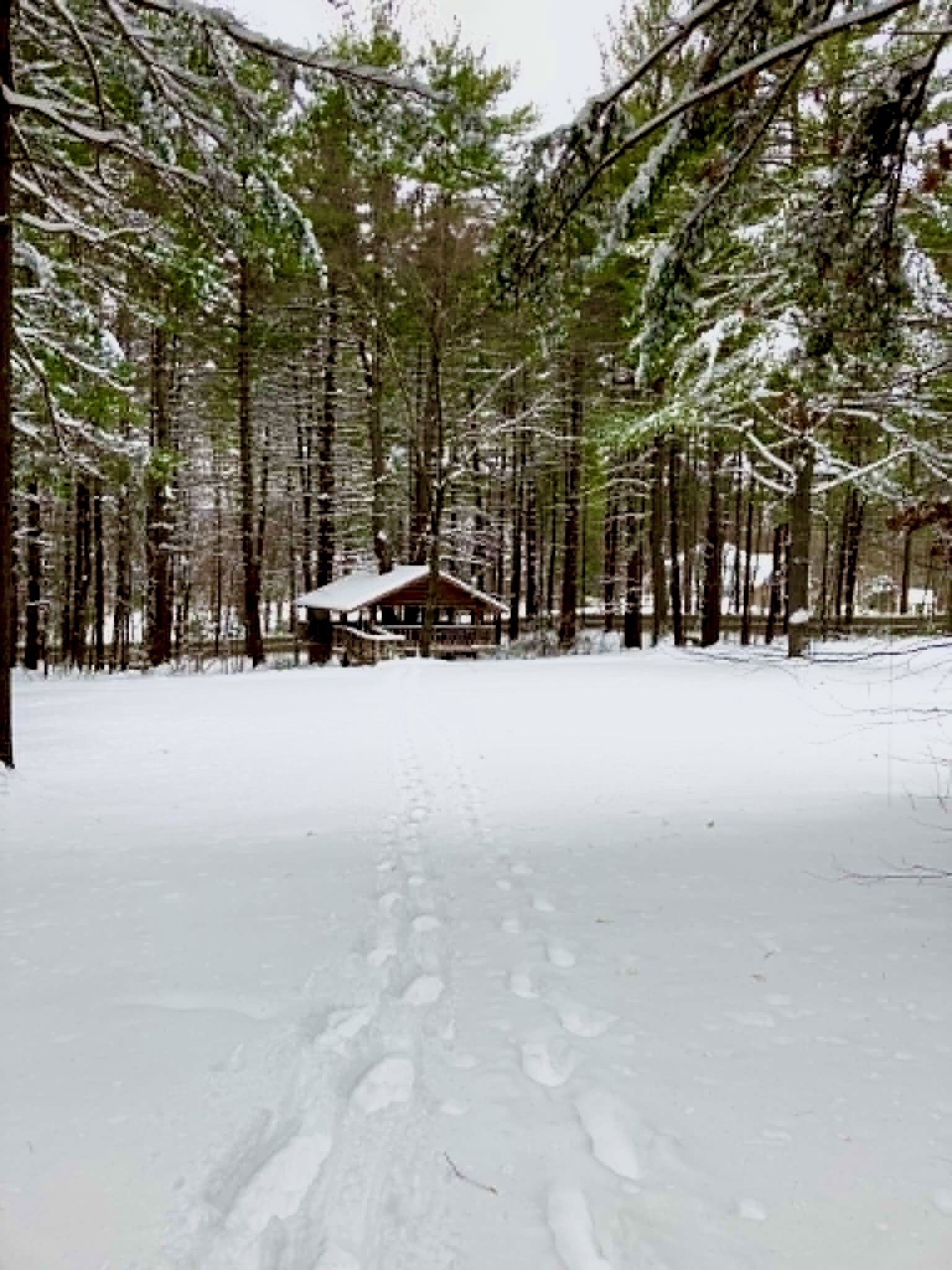 Winter at Sewataro