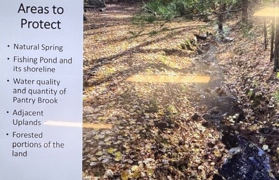 Areas to Protect — natural spring, fishing pond, water quality of Pantry Brook